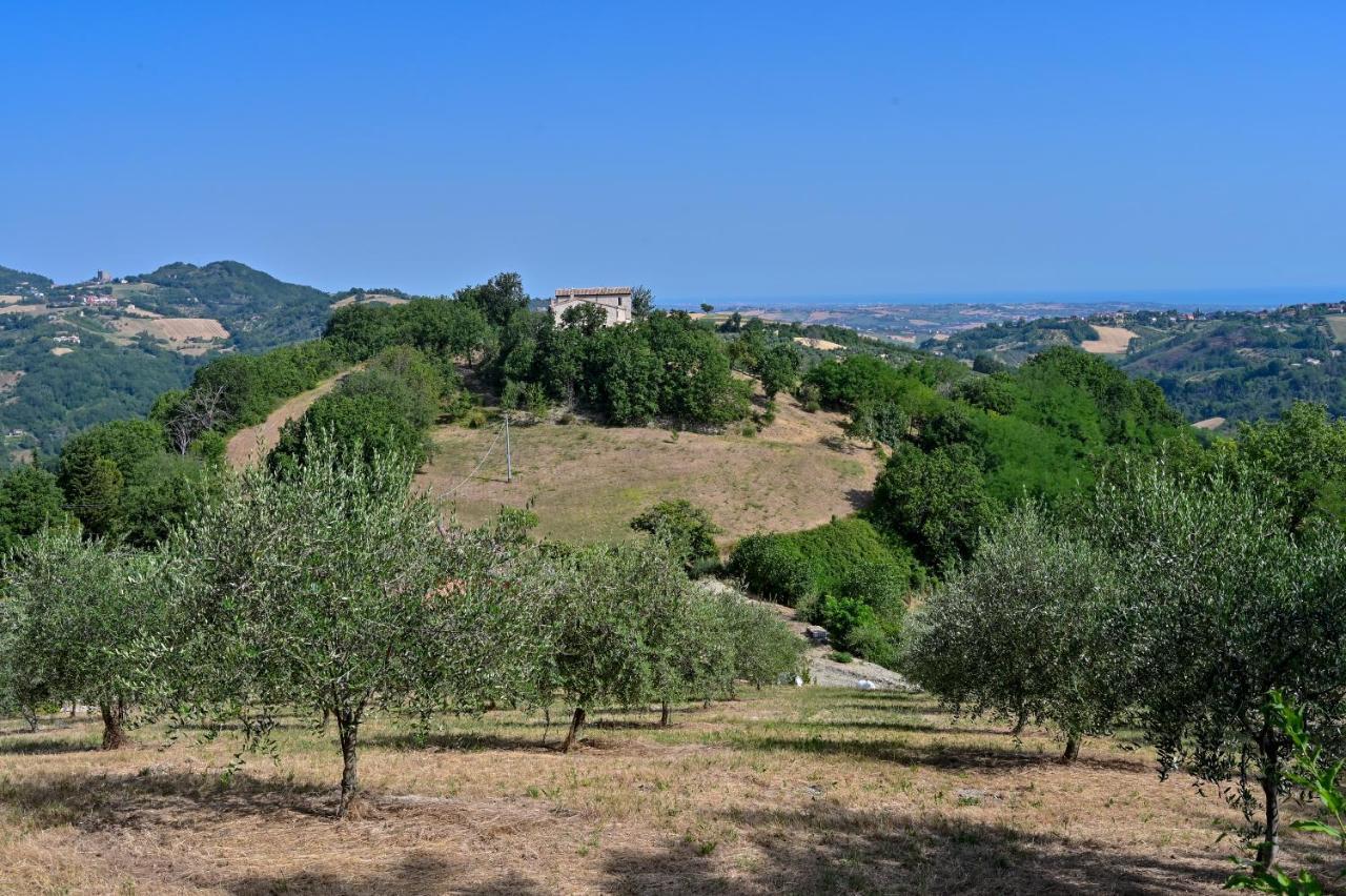 Casale Romani Country Residence Cerreto Castello Exteriér fotografie